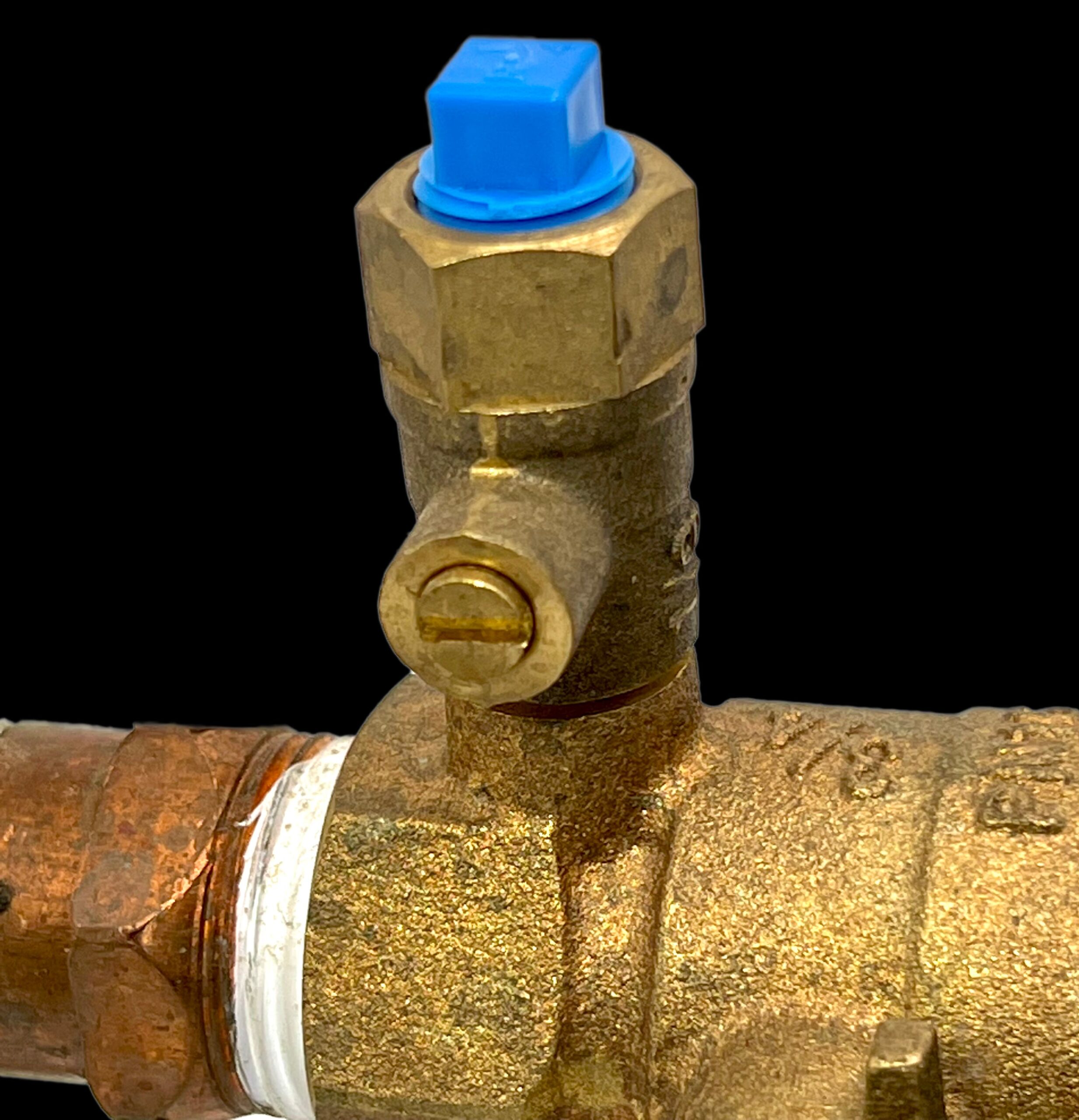 SHP1/SHP8/SHP12. Plastic plugs for test ports on backflow assemblies, ~50 count. - Image 4